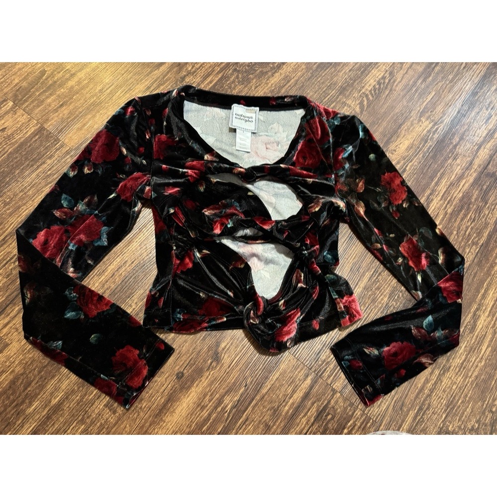 Autumn Adeigbo Rowenna Cutout Blouse velvet floral long sleeve crop 4